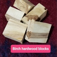 Birch Hardwood Blocks 10 pack