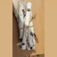 Birch Stick Bundle