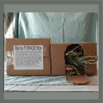 Forage Box - for rabbits and guinea pigs