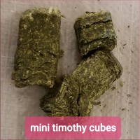 Hay Cubes - Timothy - Minis 50 pound bag  