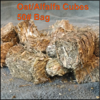 Hay Cubes - Oat-Alfalfa  - 50 pound bag