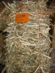 Hay - Wheat Hay - Mini Bale