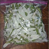 Willow Leaves Gallon Bag